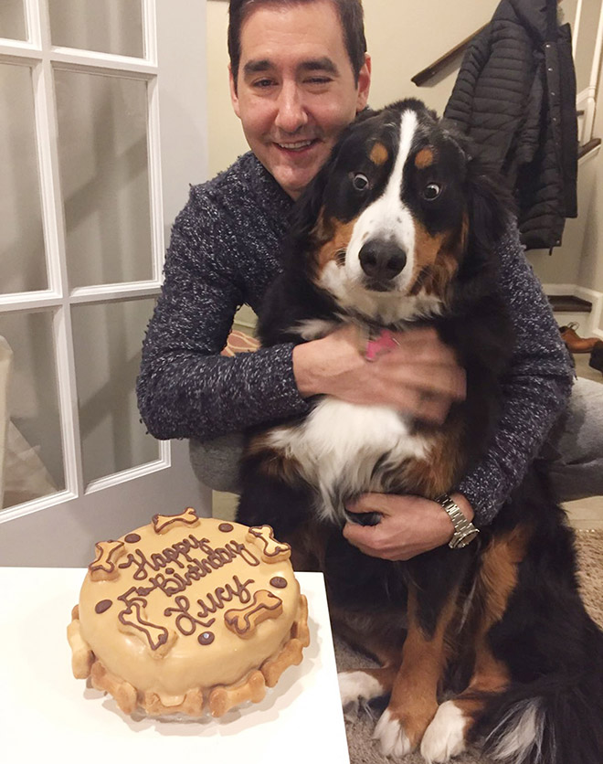 Dog celebrating birthday.